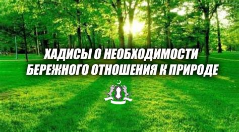 Сон о косе: предупреждение о необходимости бережного отношения к здоровью