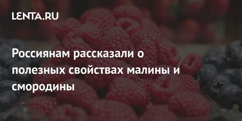 Сон о лакомстве из малины и его связь с кулинарными предпочтениями созерцающего