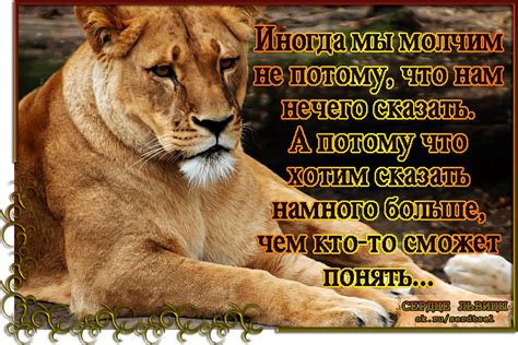 Сон о львице с отрицательным толкованием: когда стоит быть осторожным