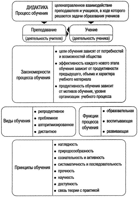 Сон о появлении тигрят: значение процесса роста и обучения