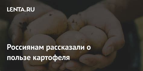 Сон о собирании картофеля: индикатор достижения успеха и преодоления преград