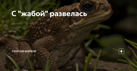 Сон с зеленой жабой: предупреждение о предстоящем испытании