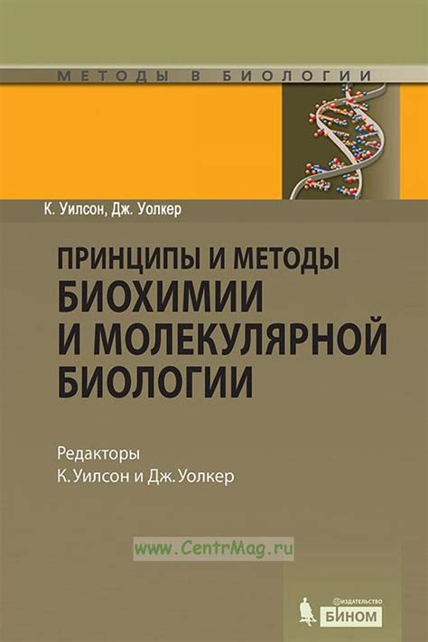 Сообщение по биологии: основные принципы и рекомендации