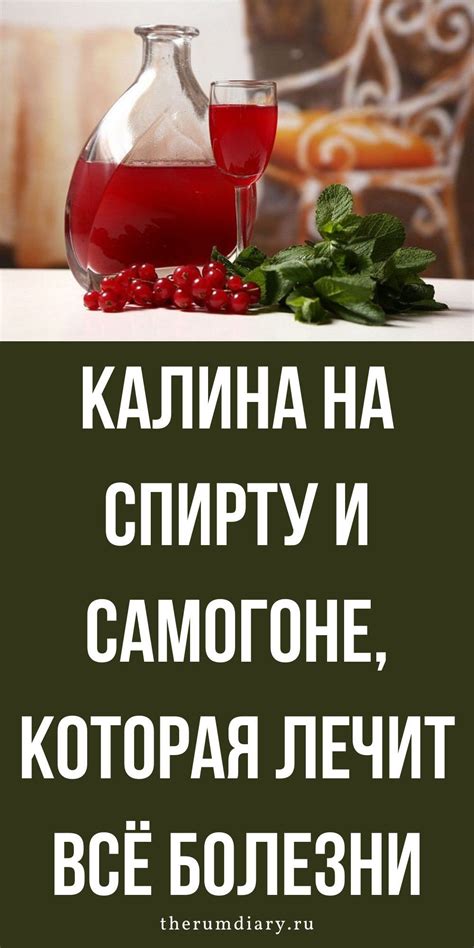 Сообщения, которые несут сны о сочных ягодах румяной калины: символика и трактовка