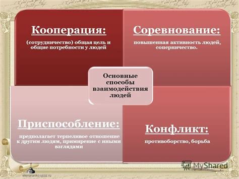 Соперничество и кооперация факультативных хищников с другими видами