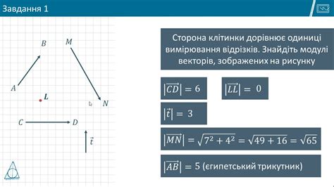 Составляющие вектора: модуль и направление