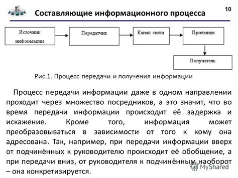 Составляющие информационного обзора: что должно включать