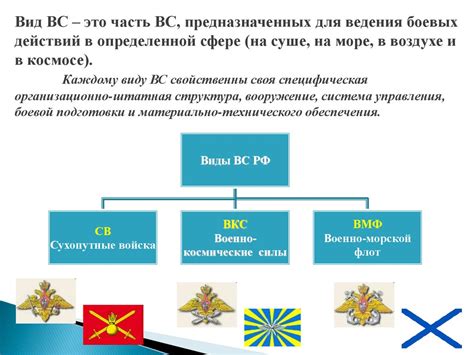 Состав и структура военной команды 125