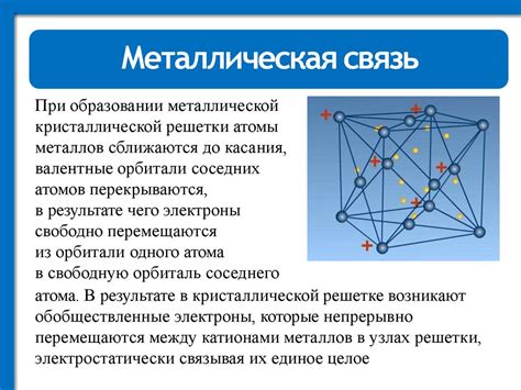 Состав и структура грамм-плюс палочек