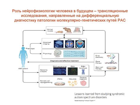 Состояние сна после пережитой смерти: результаты нейрофизиологических исследований