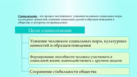 Социализация и формирование ценностей