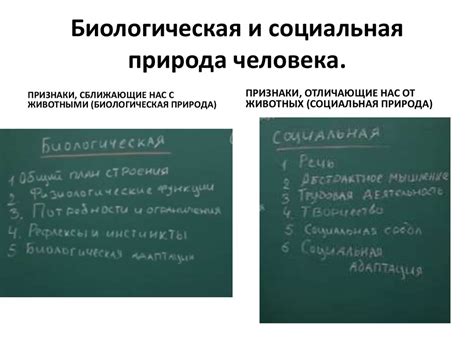 Социальная природа осуждения