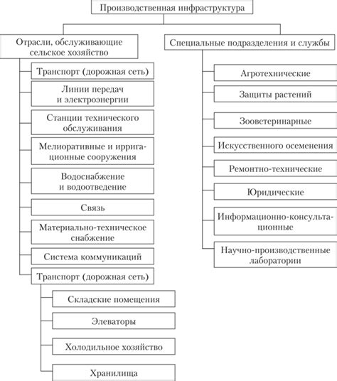 Социальная роль сельского лица