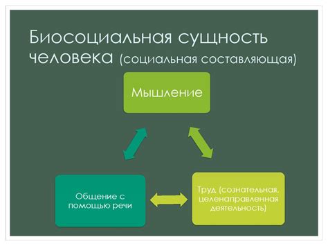 Социальная составляющая эйфории