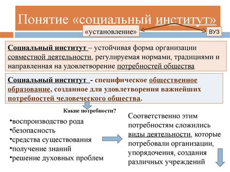 Социальная сфера: понятие и основные аспекты