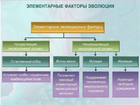 Социальные и эволюционные факторы