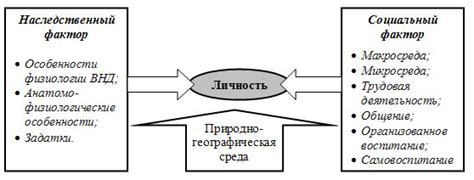 Социальные факторы и откат