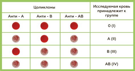 Сочетание группы крови и резус-фактора