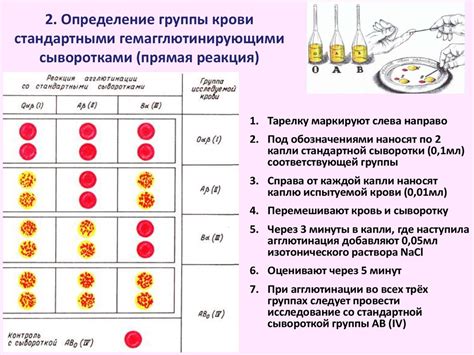 Сочетание сестер по крови и не по крови: преимущества и недостатки