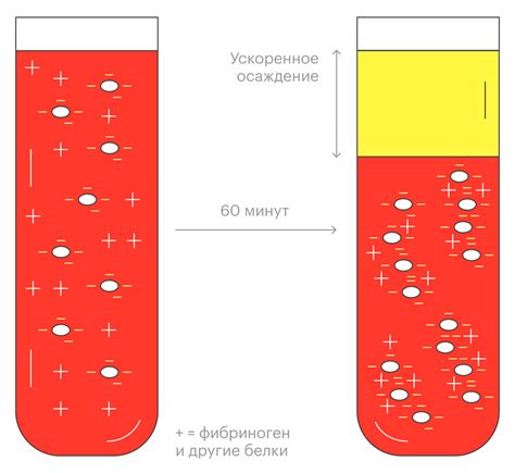 Соэ равно 2 у мужчины