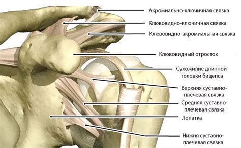 Союз: связка и значение