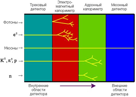 Специфические формы в различных областях