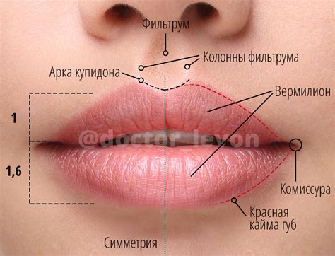 Способы диагностики цианотичности губ