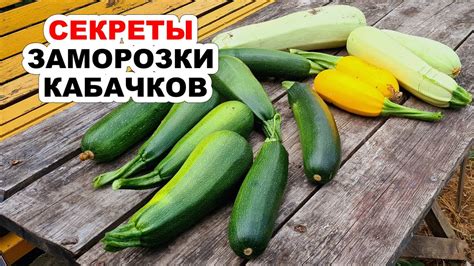 Способы заморозить славу