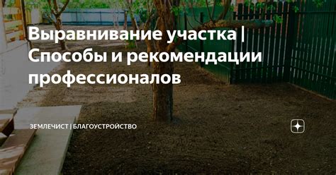 Способы использования и рекомендации профессионалов