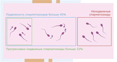 Способы коррекции негативного образа