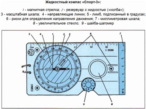 Способы определения сторон горизонта с помощью компаса