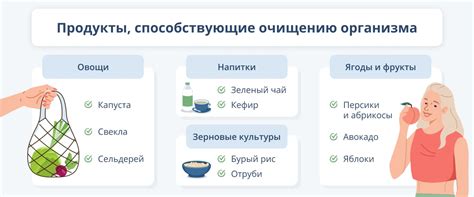 Способы очищения и поддержания прозрачности легких