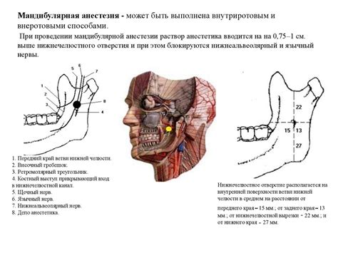 Способы предотвращения отклонения нижней челюсти