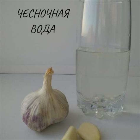 Способы приготовления чесночной воды