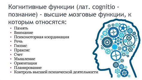 Способы улучшить когнитивные функции мозга