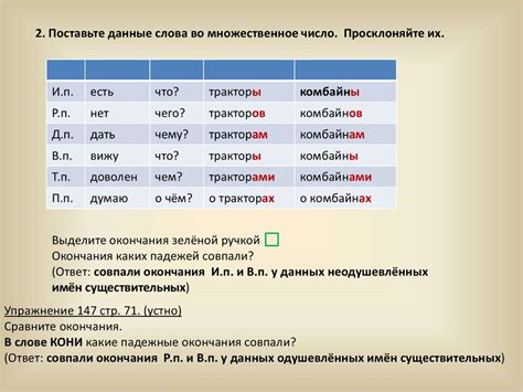 Спряжение существительных среднего и мужского рода