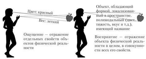 Сравнение восприятия и реальности в ожидании настоящей беременности