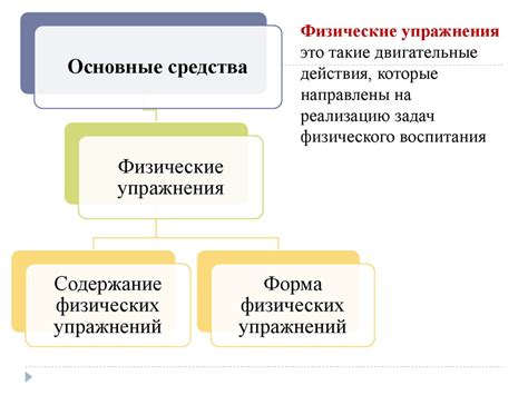 Средства физического воспитания: сущность и влияние