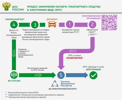 Сроки и стоимость растаможки посылки