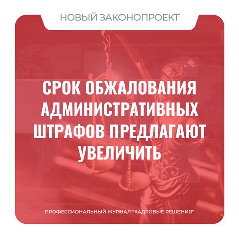 Срок обжалования административных решений: всё, что нужно знать