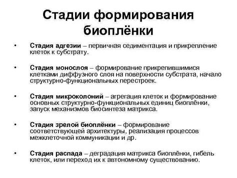 Стадии формирования