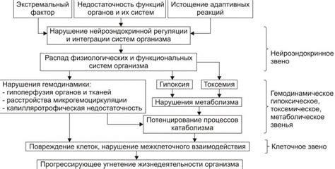 Стадия декомпенсации щитовидки