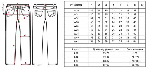 Стандартные размеры брюк и их значение