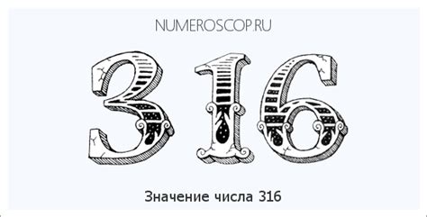 Статистическое значение числа 316: факты и цифры