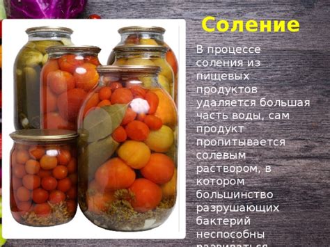 Стаффирование в процессе соления