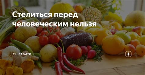 Стелиться перед человеком: примеры и значение