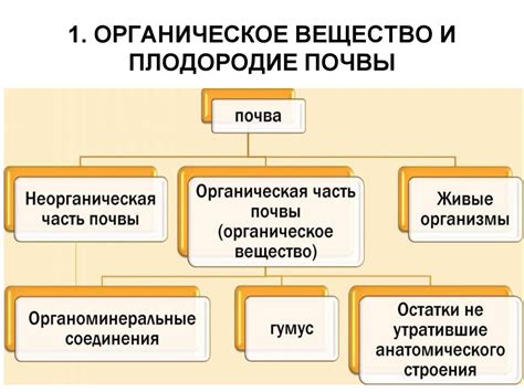 Стерильность и плодородие