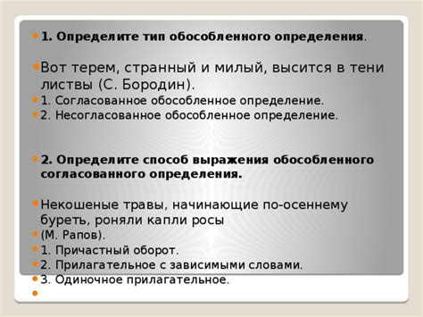 Стилистические особенности обособленного согласованного определения