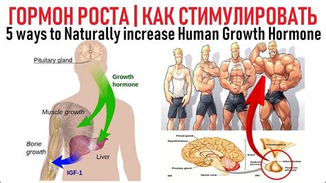 Стимуляция бокового роста