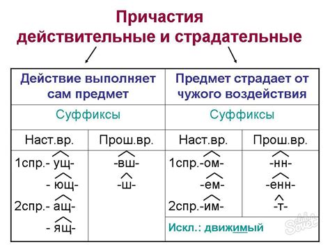 Страдательные причастия в разных временных формах